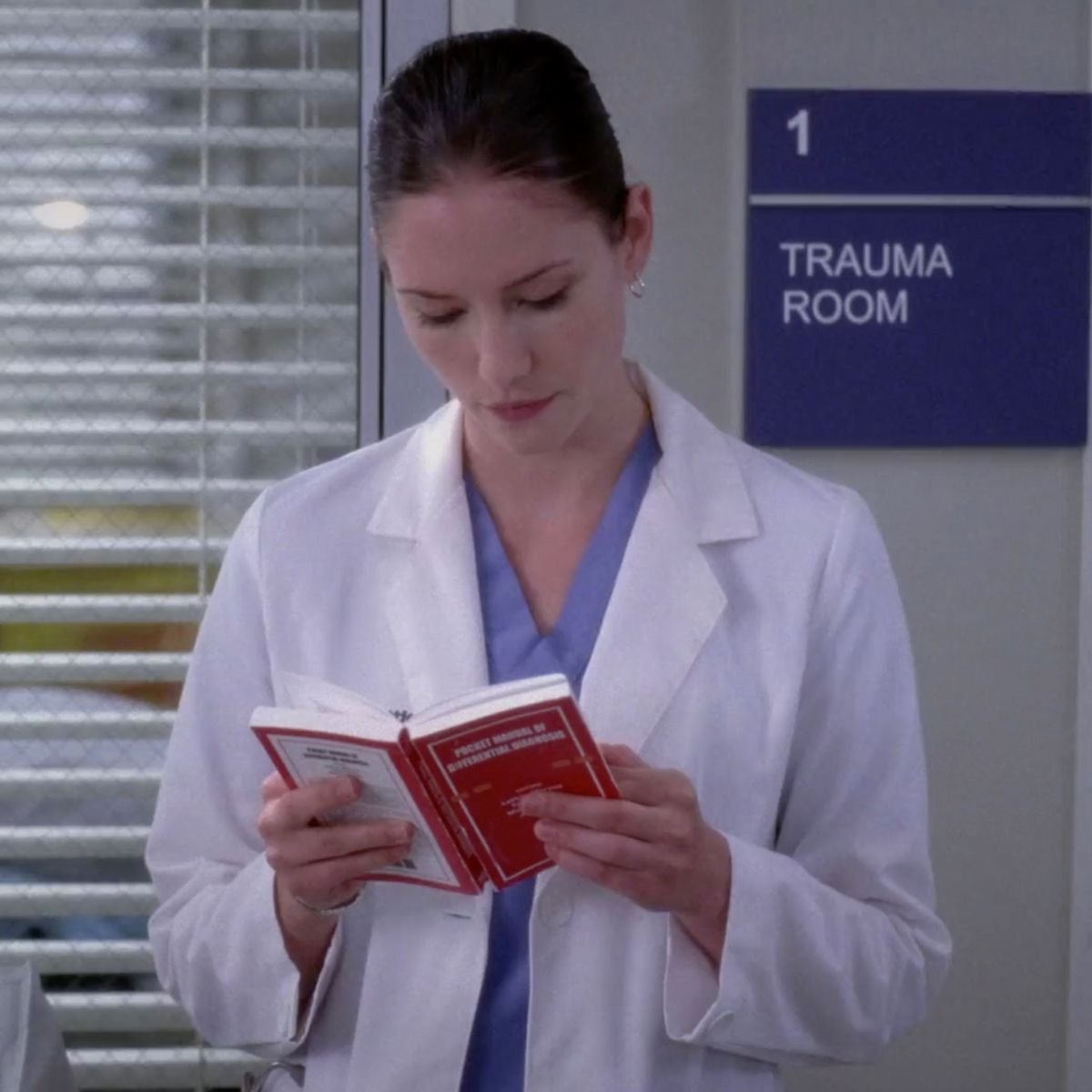 Lexie Grey: The Fascinating Story Of Grey's Anatomy's Beloved Character Lexie Grey: The Fascinating Story Of Grey's Anatomy's Beloved Character