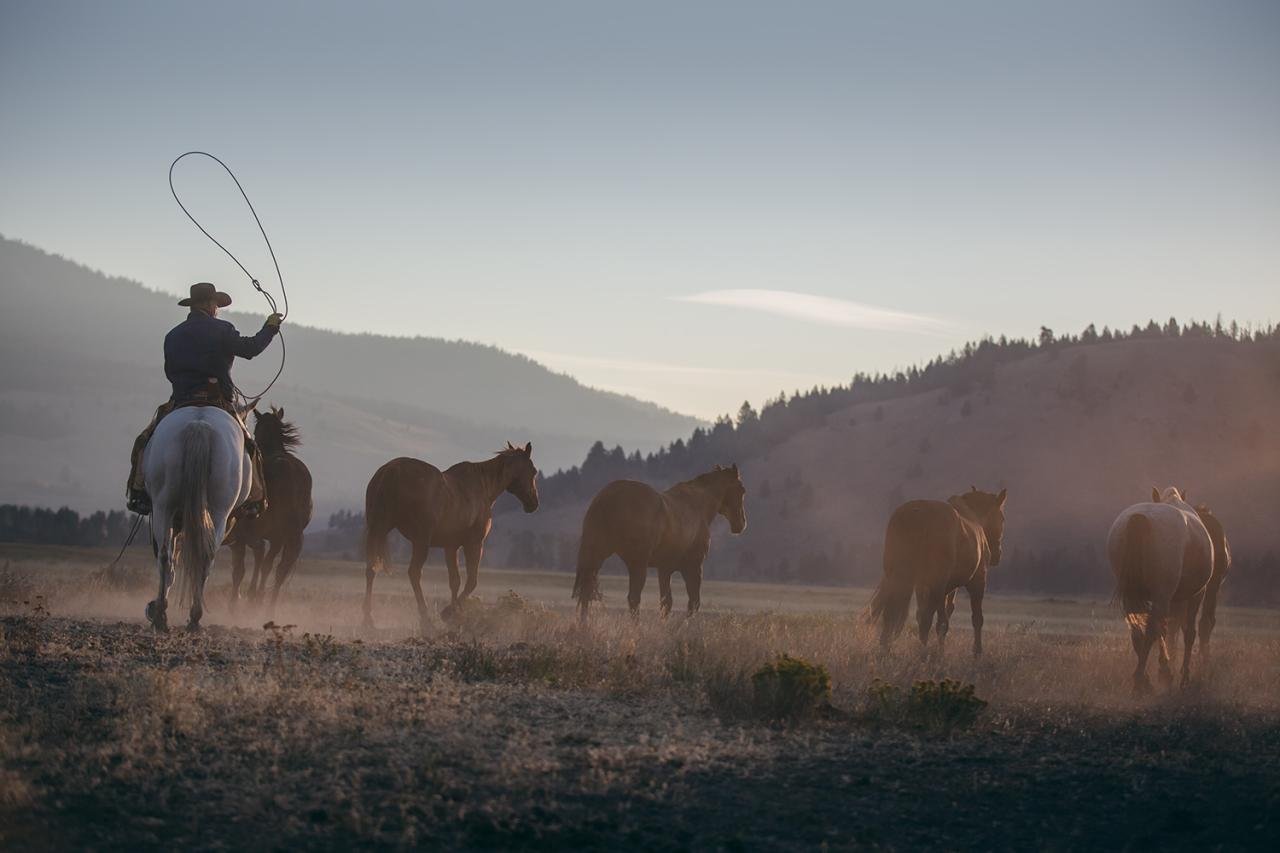Gallery — Diamond Cross Ranch Gallery — Diamond Cross Ranch