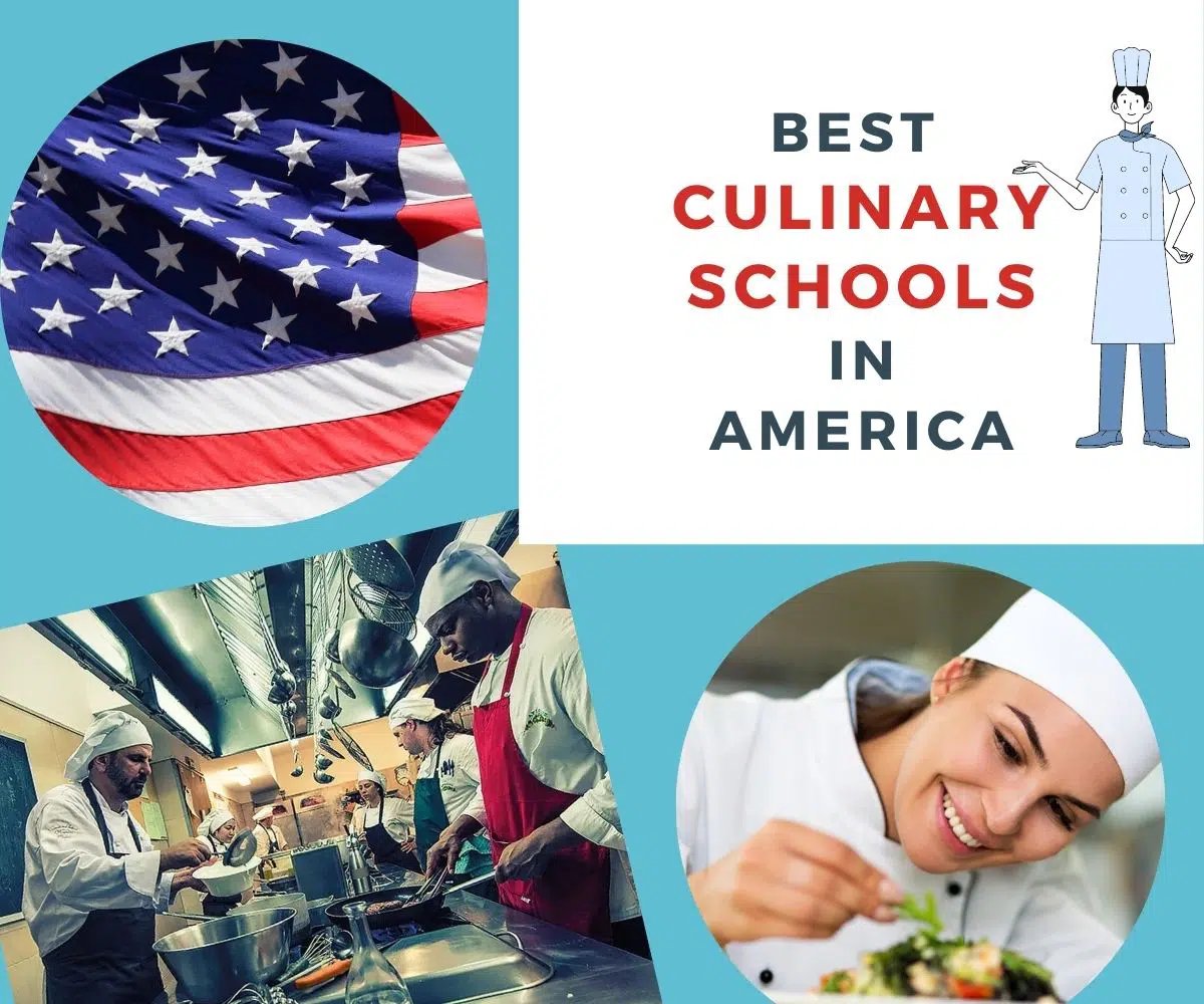 15 Top Culinary Schools in Houston: Top Requirements - American Dailies