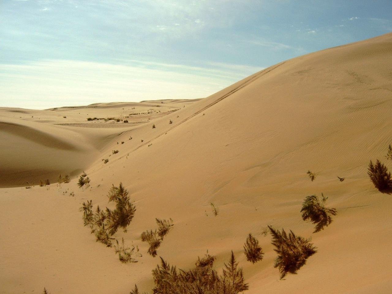 Wüste Gobi - HeadWest Wüste Gobi - HeadWest