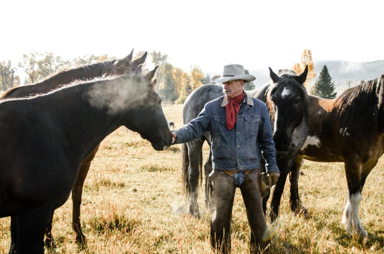 Gallery — Diamond Cross Ranch Gallery — Diamond Cross Ranch