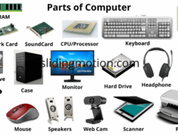 Computer Science Tutor Near Me Unlocking Potential