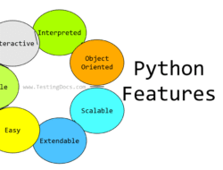 Python Developers Near Me Find Your Perfect Tech Partner