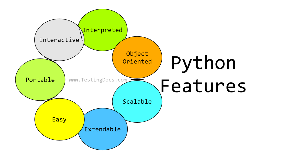 Python developers near me
