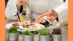 5 Common Courses in Culinary School - Best Choice Schools