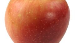Apple Computer Discount Code Save Big Today