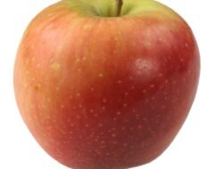 Apple Computer Discount Code Save Big Today