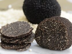truffle bag – A Luxurious Adventure Awaits You