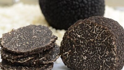 truffle bag – A Luxurious Adventure Awaits You