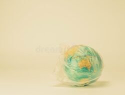 Globe Bag Your Ultimate Travel Companion