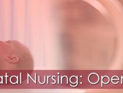 Nursing Education Programs Near Me Your Pathway To Success