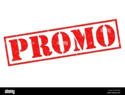 Promo Canvas Bags Elevate Your Style And Purpose